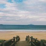 Ofelia Swaniawski Profile Picture