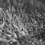 Hermann Hickle Profile Picture