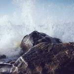 Hank Lynch Profile Picture