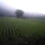 Forrest Feil Profile Picture