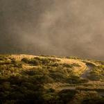 Christa Buckridge Profile Picture